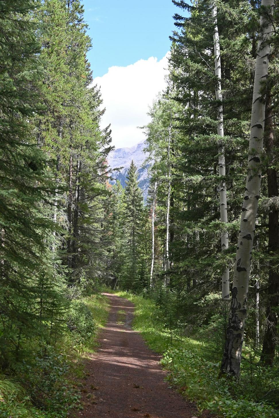Guided hiking
