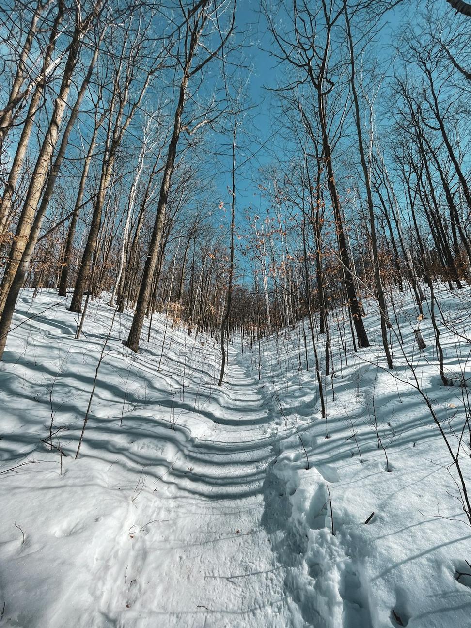 Winter snowshoeing
